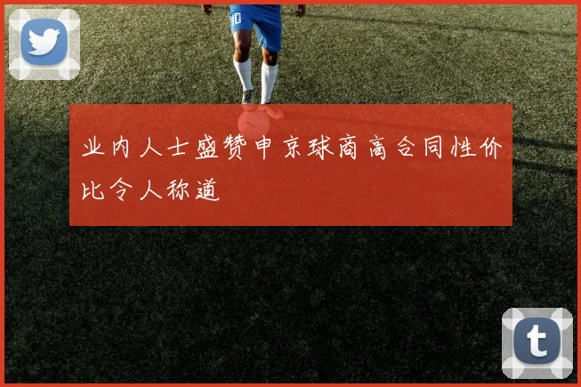 业内人士盛赞申京球商高合同性价比令人称道