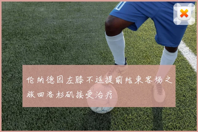 伦纳德因左膝不适提前结束客场之旅回洛杉矶接受治疗